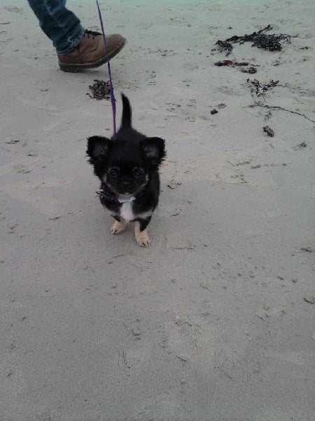 Publication : Du Royaume De Faidel Auteur : du royaume de faidel