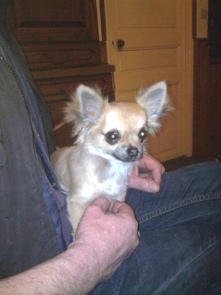 Publication : Du Royaume De Faidel Auteur : Royaume de Faidel