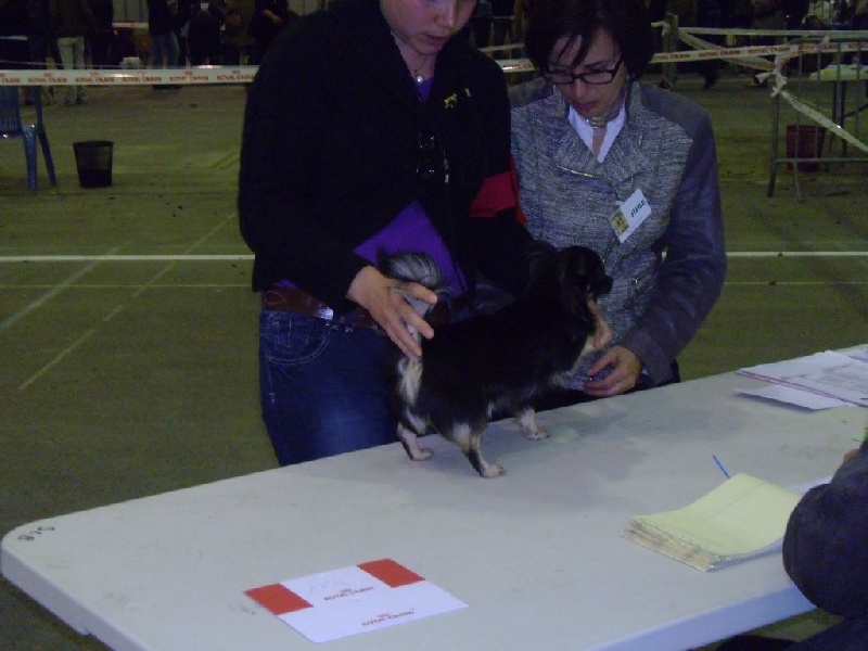 Infinity de la Légende de Shanti - 3eme TB Classe Jeune