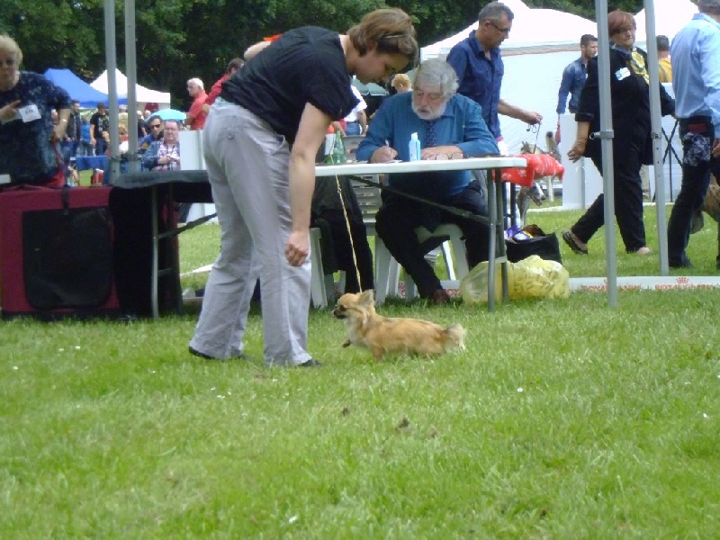 Iloa de la Légende de Shanti - 1ere EXCELLENTE Meilleure Jeune Classe Jeune
