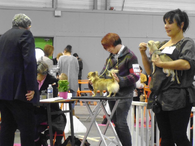 Iloa de la Légende de Shanti - TB