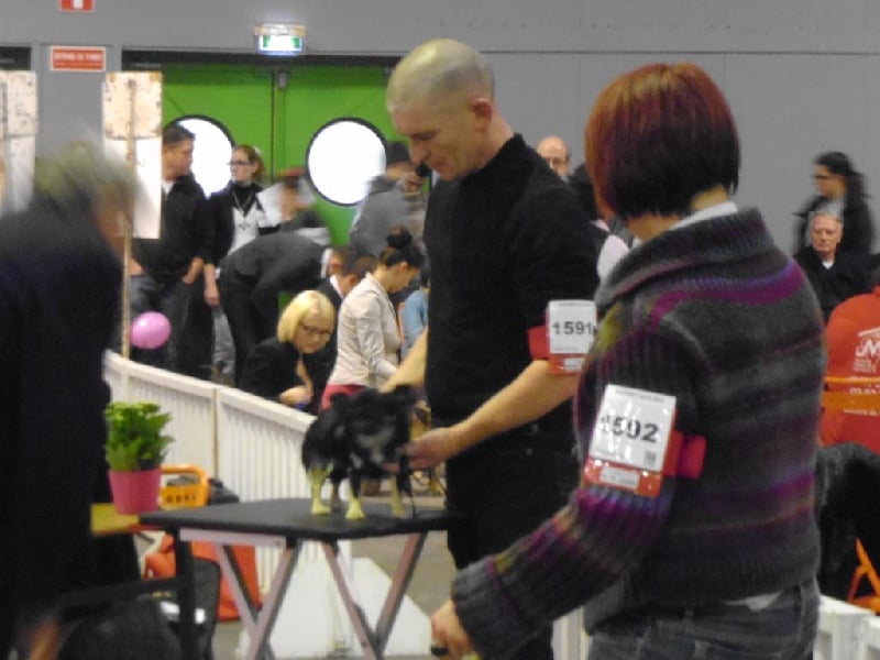 Infinity de la Légende de Shanti - TB