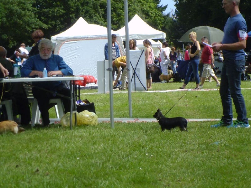 Infinity de la Légende de Shanti - 2eme TRES BON Classe Jeune