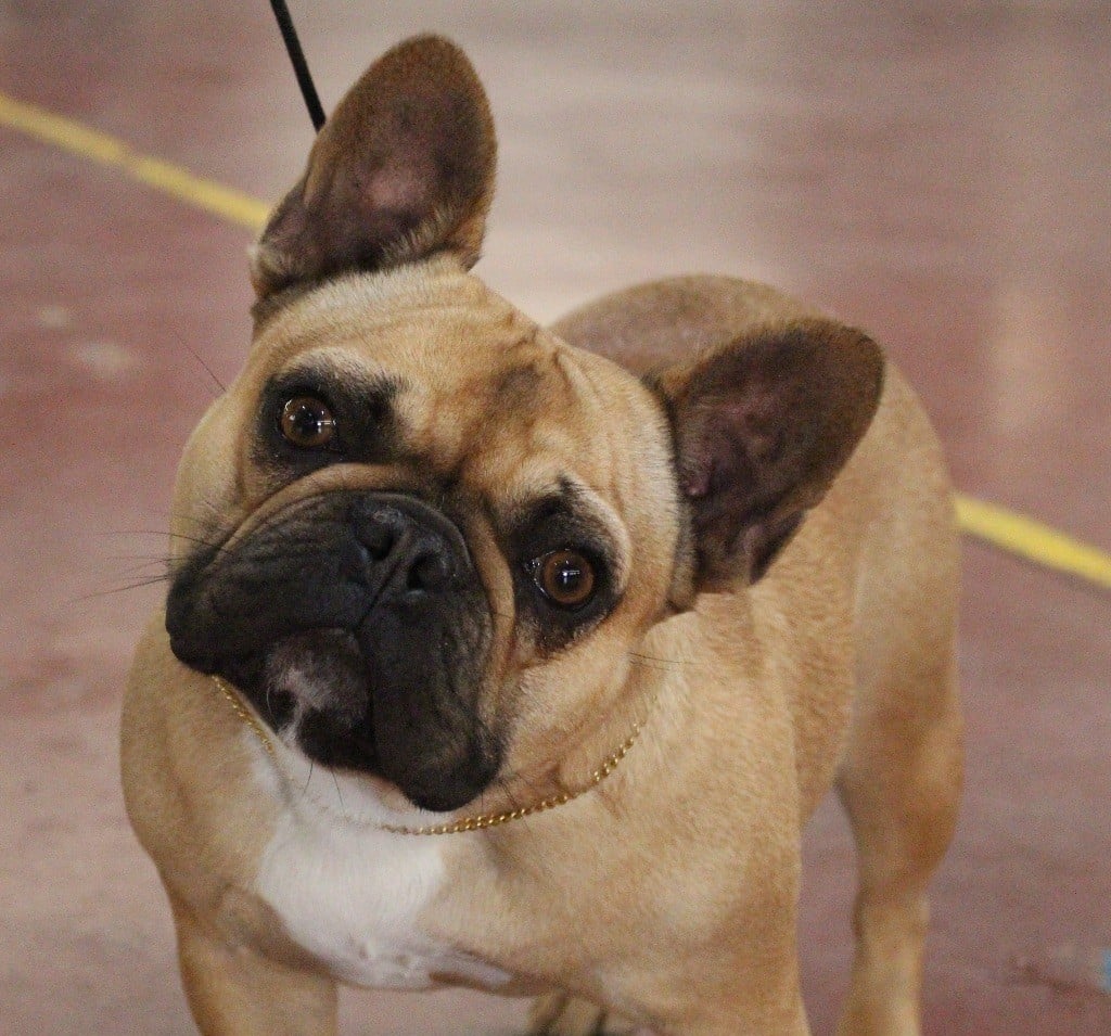 Publication : Du Val De Capsil