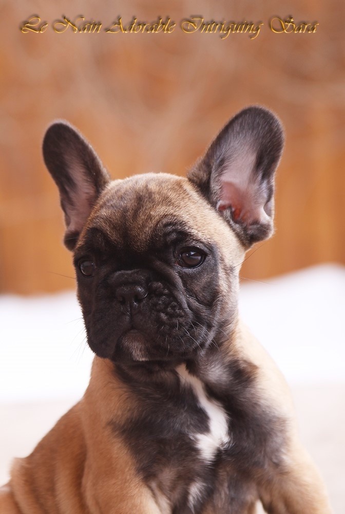 Publication : Du Val De Capsil