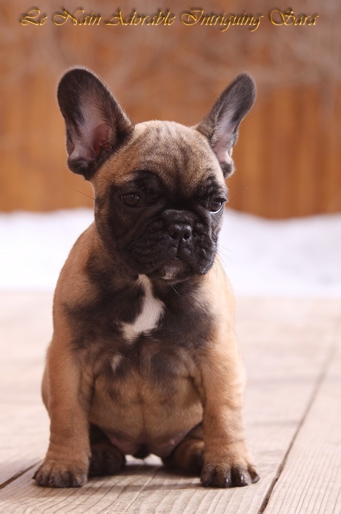 Publication : Du Val De Capsil