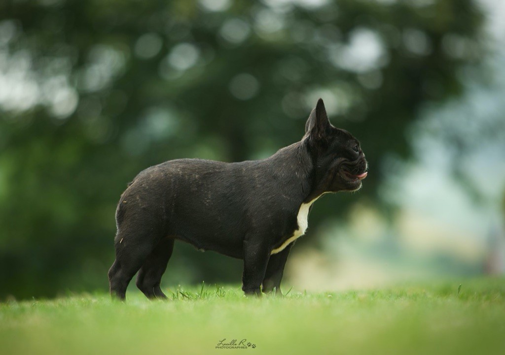 Publication : Du Val De Capsil