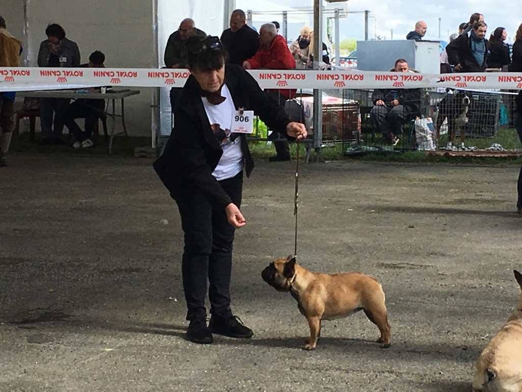 le nain adorable Intriguing sara - 1ère EXC RCACS