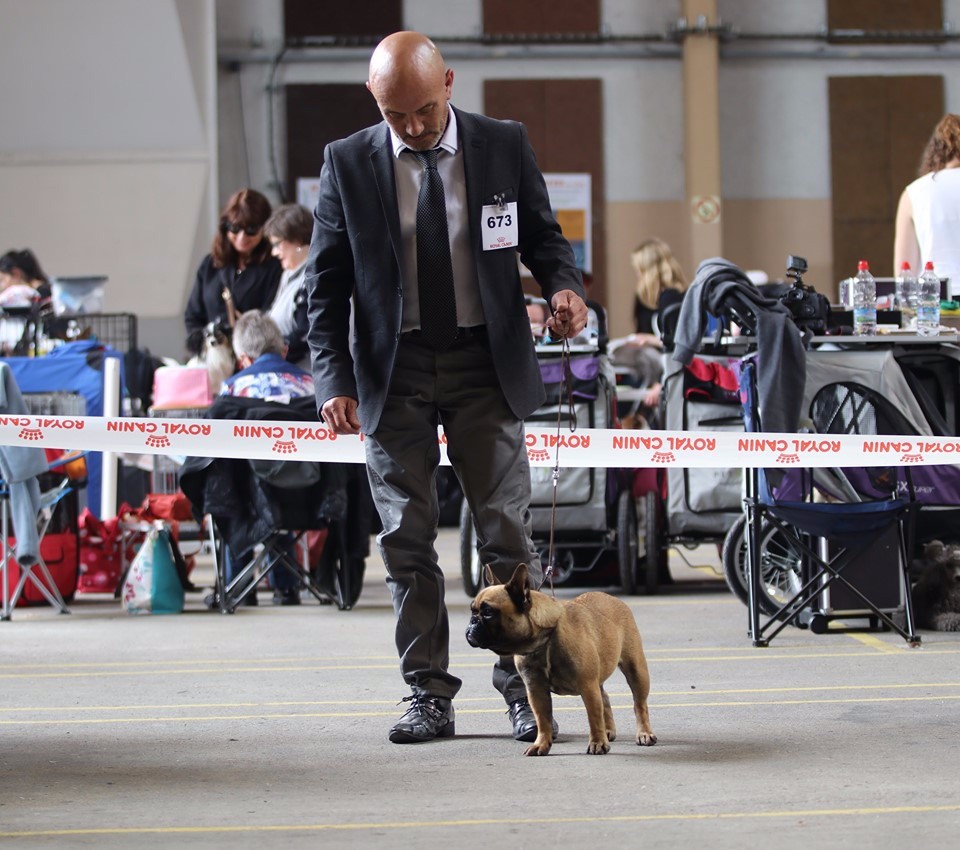 le nain adorable Intriguing sara - 2ème EXC