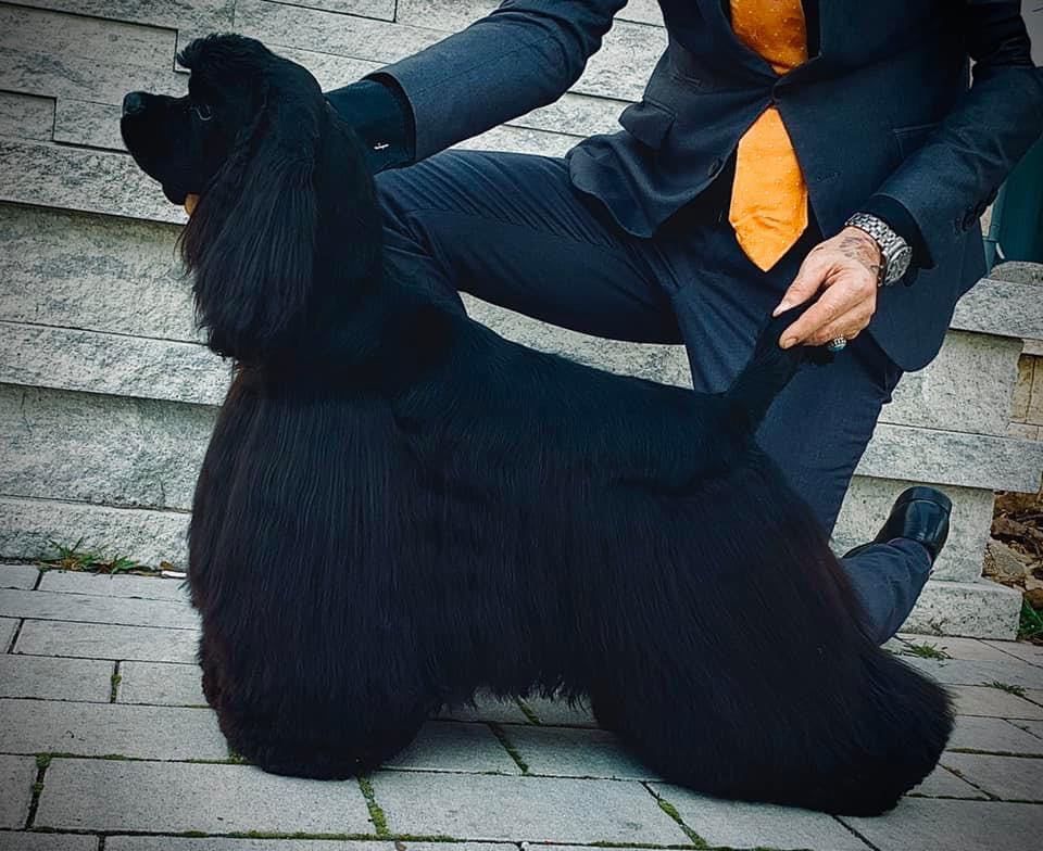 Publication : Hall Of Lords