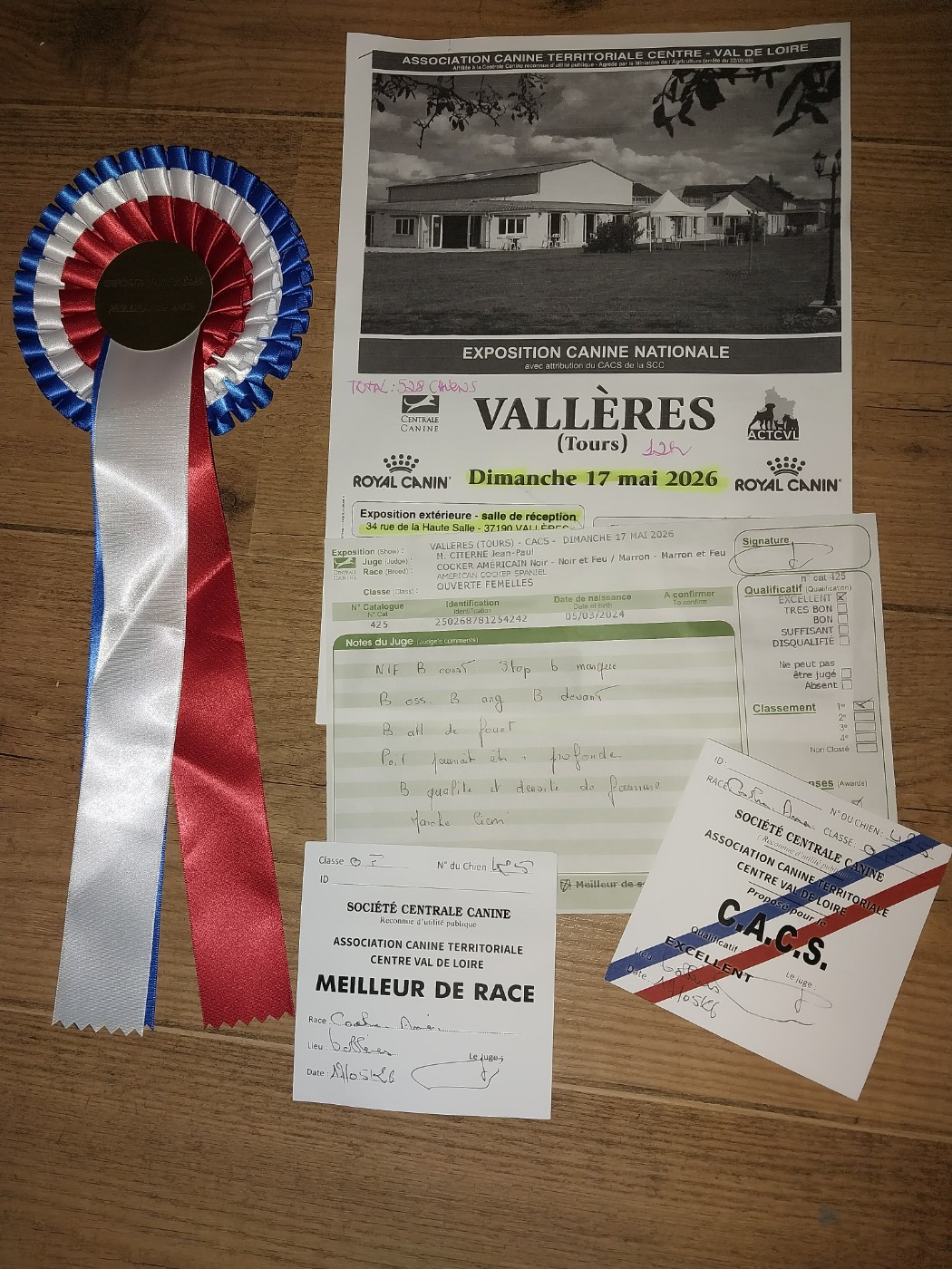 Hall Of Lords Valkyrien legacy - Meilleur de Race, CACS, Excellent, 1ère