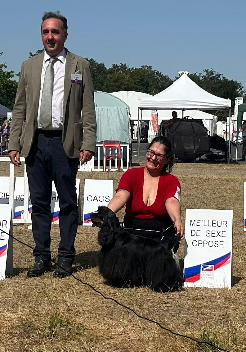 CH. Hall Of Lords Valkyrien legacy - Meilleur du Sexe Opposé, CACIB, CACS, Excellent, 1ère classe ouverte