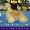 CH. Truly yours Queen of happiness - Reserve CACIB -> CACIB et Reserve CACL
