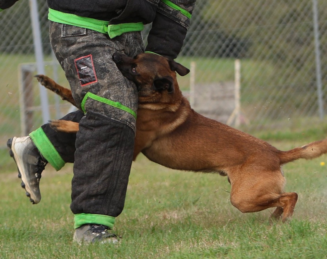 Rork Des Masques Du Diamant Noir