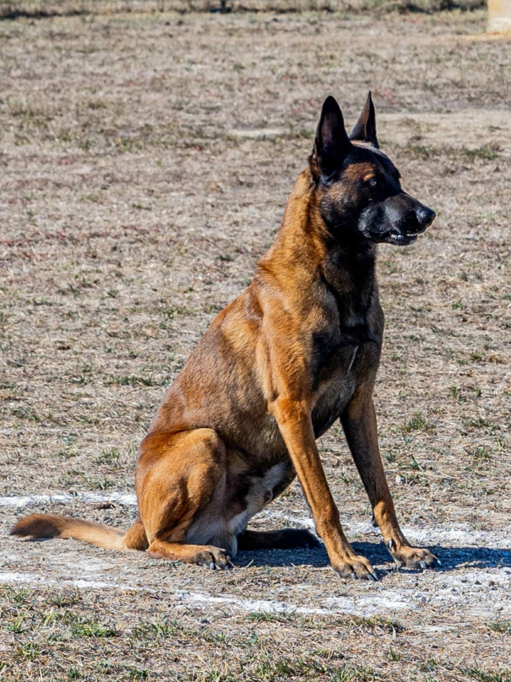 Rork Des Masques Du Diamant Noir