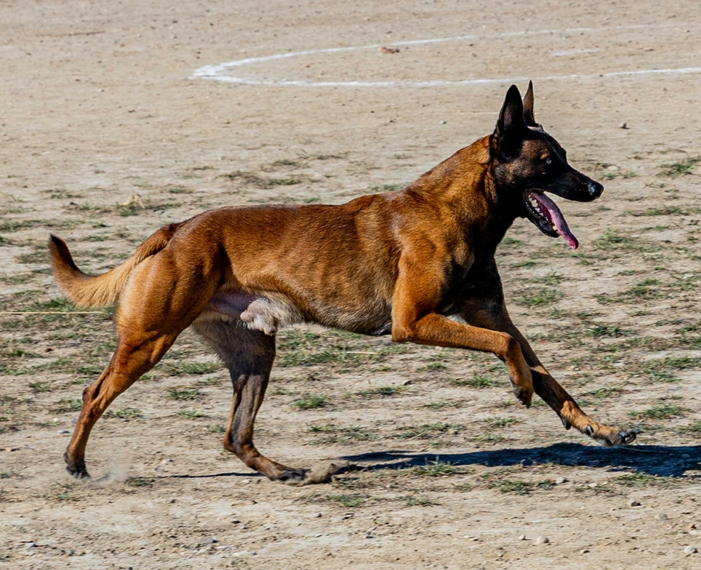 Rork Des Masques Du Diamant Noir