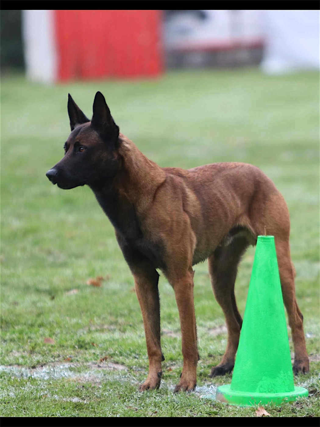 Rork Des Masques Du Diamant Noir