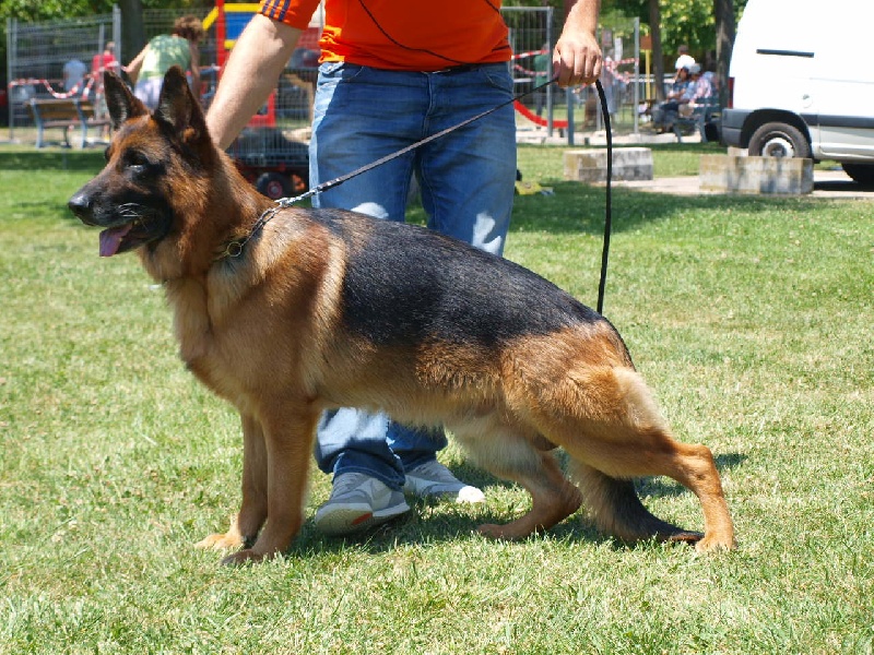 Phil dit flutter Von der ernetranch - 2ème Excellent CTM