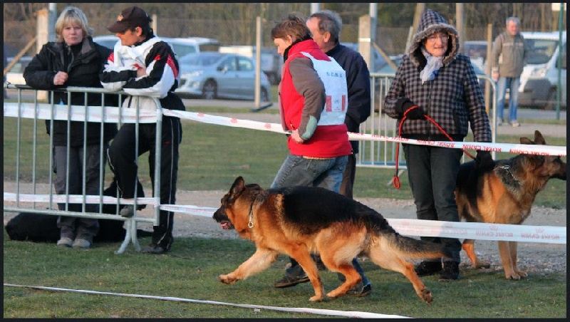 Phil dit flutter Von der ernetranch - 12ème EXCELLENT CTM