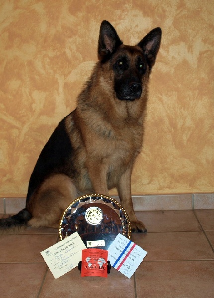 Phil dit flutter Von der ernetranch - CACS-CACIB-Meilleur de Race