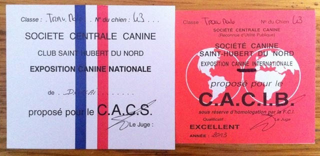 Phil dit flutter Von der ernetranch - CACS-CACIB