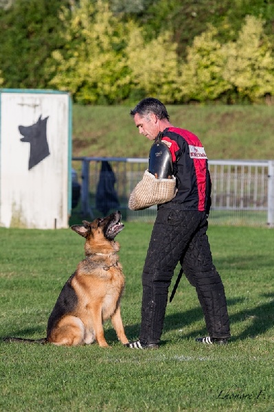 Phil dit flutter Von der ernetranch - Etalon Recommandé - Cot 4