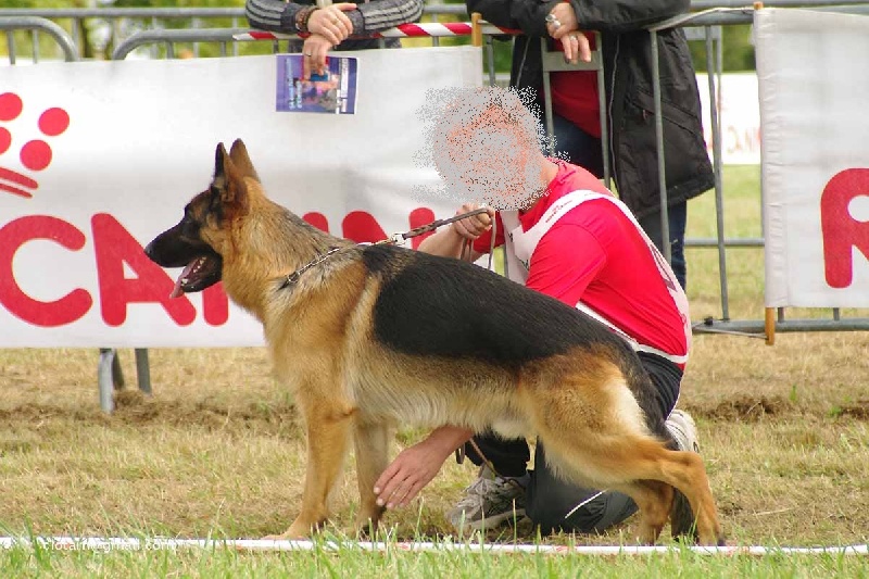 Phil dit flutter Von der ernetranch - 16ème TBon classe JM