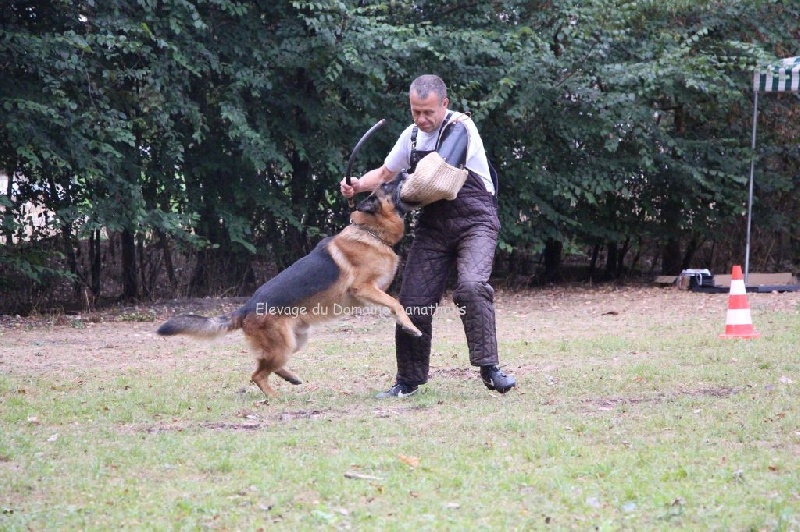 Phil dit flutter Von der ernetranch - Korüng à Vie