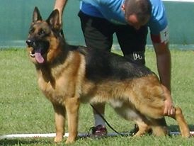 Phil dit flutter Von der ernetranch - 4ème Excellent CTM