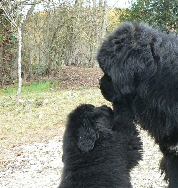 Publication : Terre D'Aussie