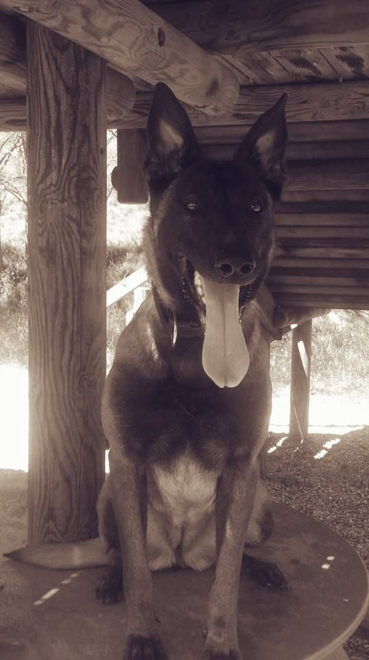 Publication : Du Second Souffle