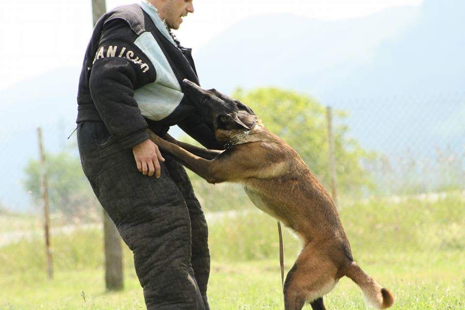 Publication : Du Second Souffle