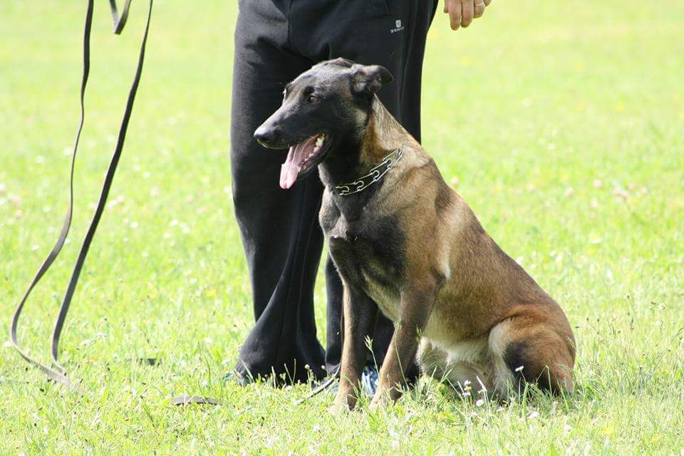 Publication : Du Second Souffle