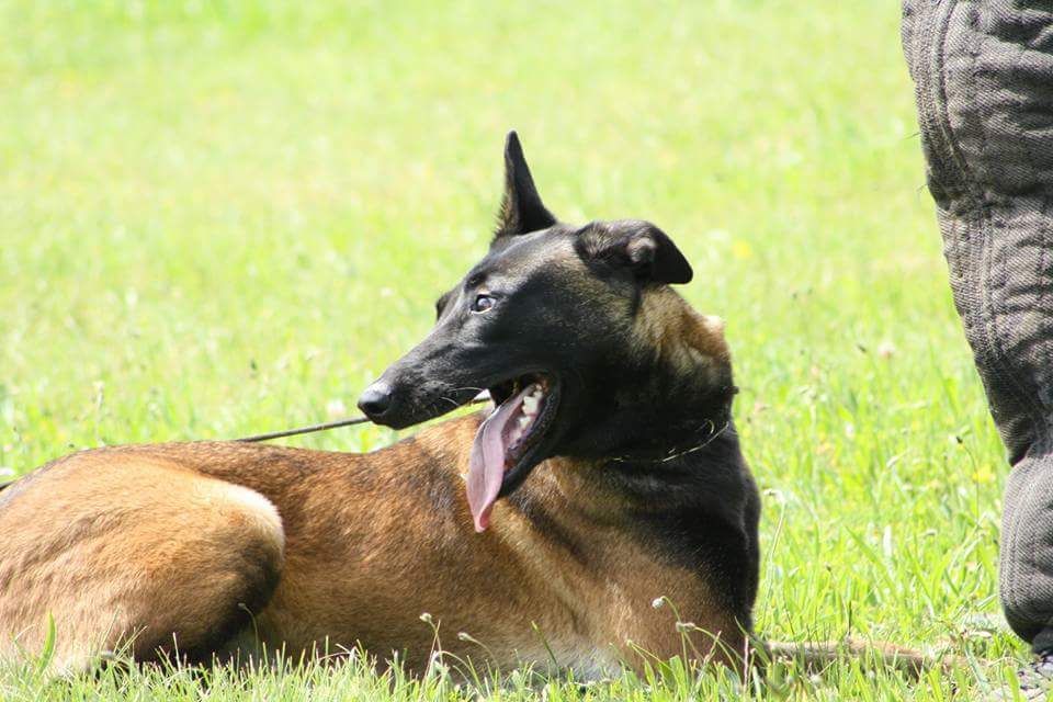 Publication : Du Second Souffle