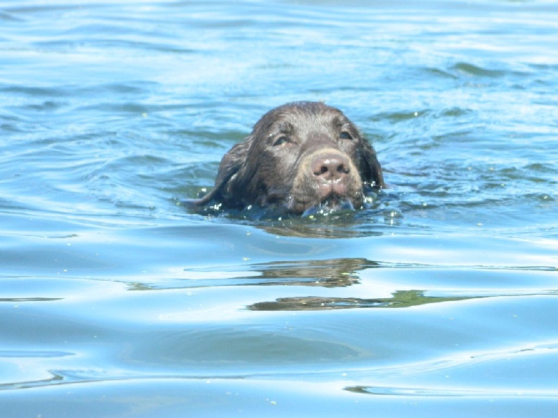 Publication : De L'Amour Des Trois Chocolats Auteur : Mr Murillo