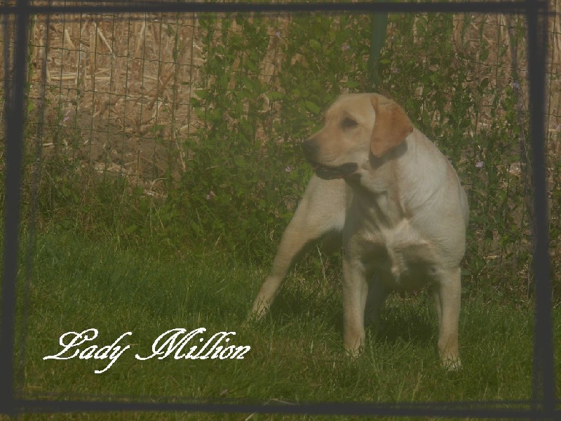 Publication : De L'Amour Des Trois Chocolats Auteur : M.MURILLO