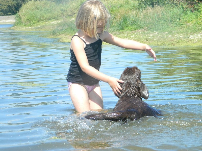 Publication : De L'Amour Des Trois Chocolats Auteur : Mr Murillo