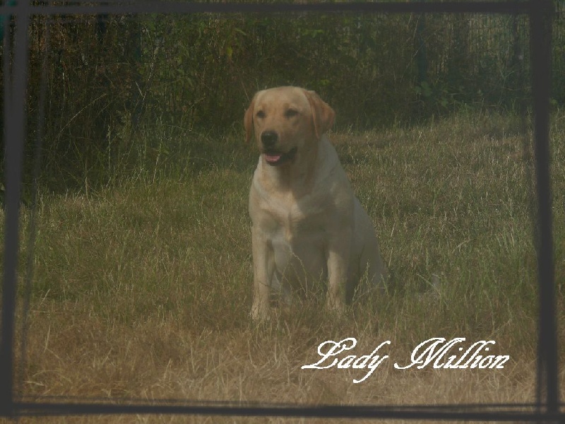 Publication : De L'Amour Des Trois Chocolats Auteur : M.MURILLO