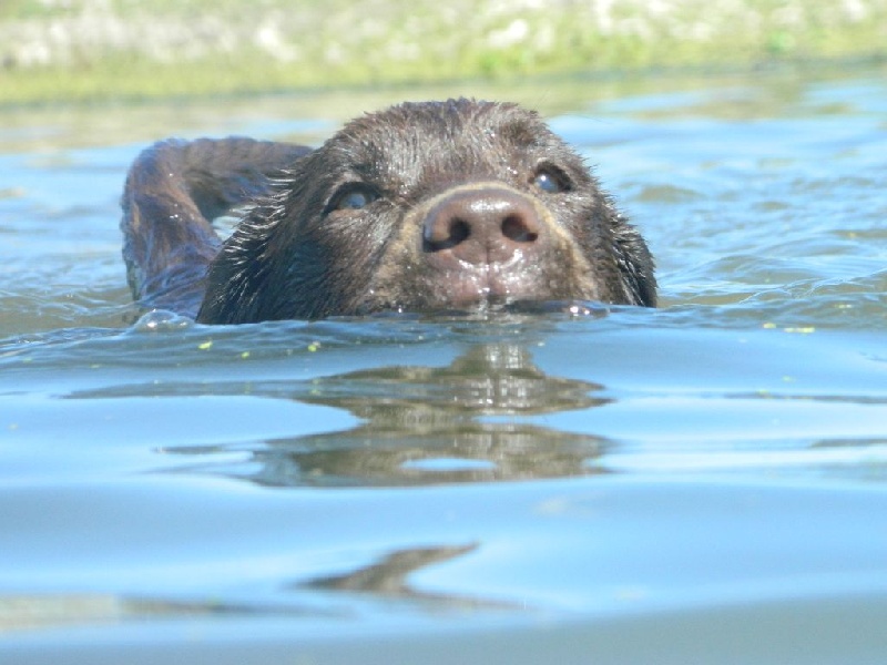 Publication : De L'Amour Des Trois Chocolats Auteur : Mr Murillo