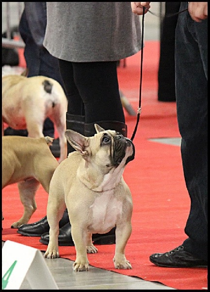 Hawaï Of The Blue Sunshine - 3 éme TRÈS BON