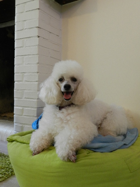 Publication : Du Domaine De La Nardilière