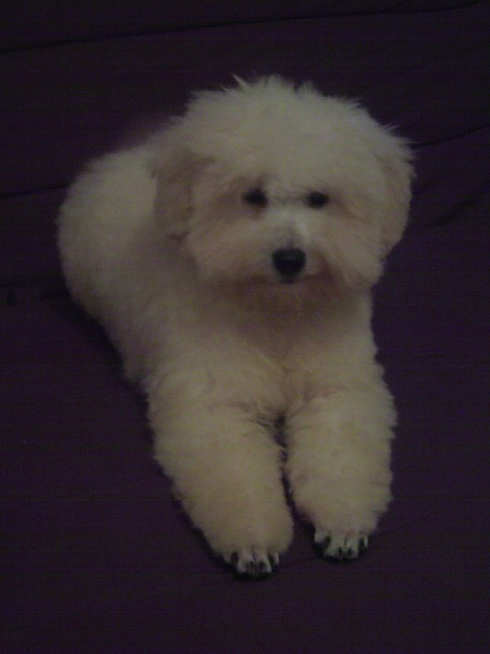 Publication : Du Domaine De La Nardilière