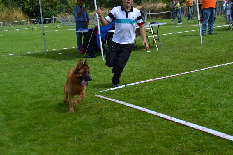 Publication : Du Val De Vaast Auteur : le val de vaast