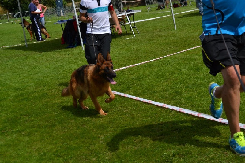 Publication : Du Val De Vaast Auteur : le val de vaast