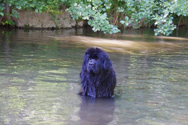 Publication : Des Semeurs De Rêves Auteur : Nadine Expert