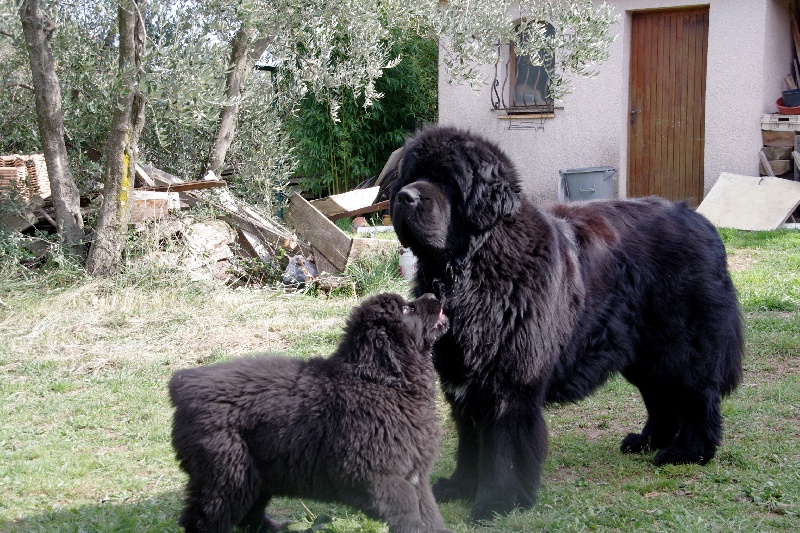 Publication : Des Semeurs De Rêves Auteur : Nadine Expert