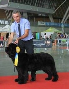 Irresistible mademoiselle rose Des Semeurs De Rêves - EXCELLENT NON CLASSEE