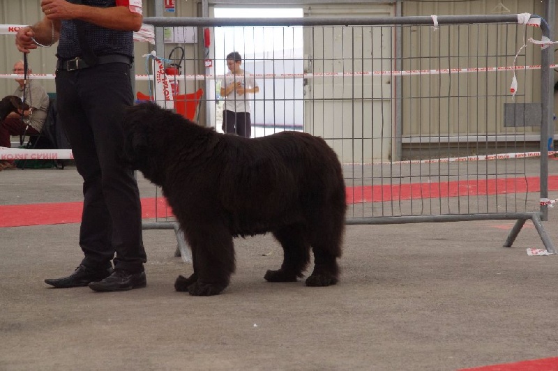 Irresistible mademoiselle rose Des Semeurs De Rêves - 3 EME EXCELLENT CLASSE OUVERTE