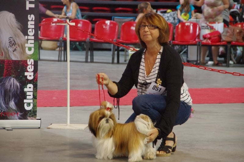 CH. Madonna from audreys paradis - 2ème exc classe intermédiaire