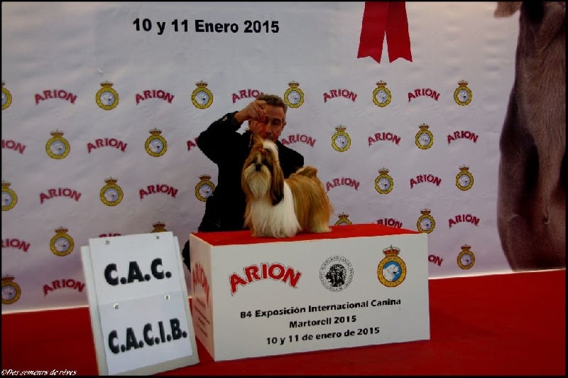 CH. Madonna from audreys paradis - 1ère exc classe intermédiaire CAC CACIB